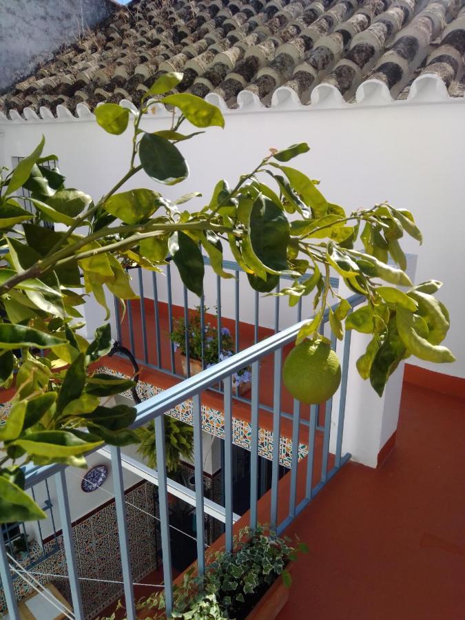 La Puerta Azul Bornos Exterior foto